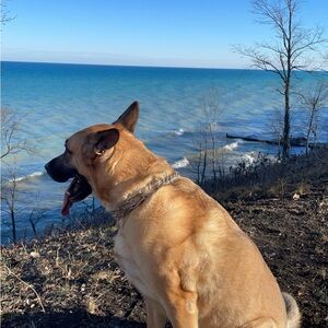 Meet your Posher, Tiia